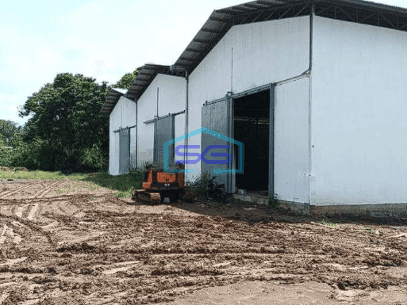 Disewakan Gudang LB 850m2 Di Kairagi Kota Manado Buat Ekspedisi Distributor