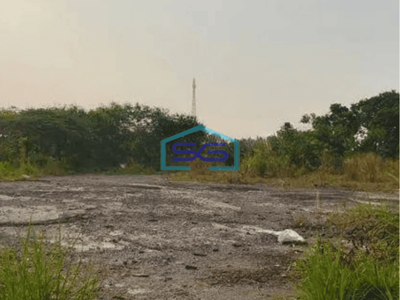 Dijual Tanah Gunung Sindur Bogor Lokasi Terbaik Pinggir Jalan Luas Tanah 9555m2