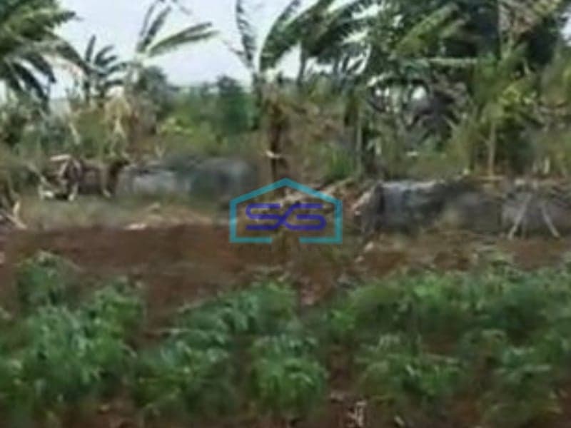 Dijual Tanah di Ds. Kuta Jaya, Pasar Kemis Tangerang Banten