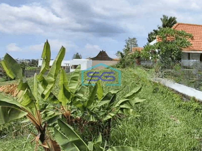 Disewakan Tanah Padat View Sawah Tibubening Canggu Badung Bali LT 1860m2