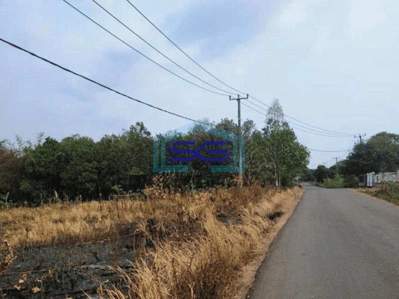 Dijual Tanah Untuk Gudang Harga MurahdDi Padasuka Maja Lebak Banten