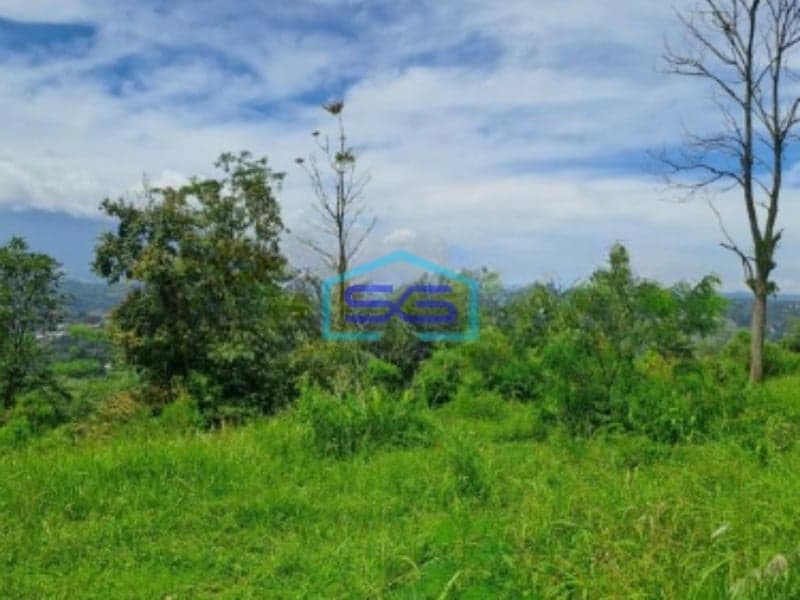 Dijual Tanah Sangat Bagus Di Desa Pasir Angin Bogor Luas Tanah 10200m2
