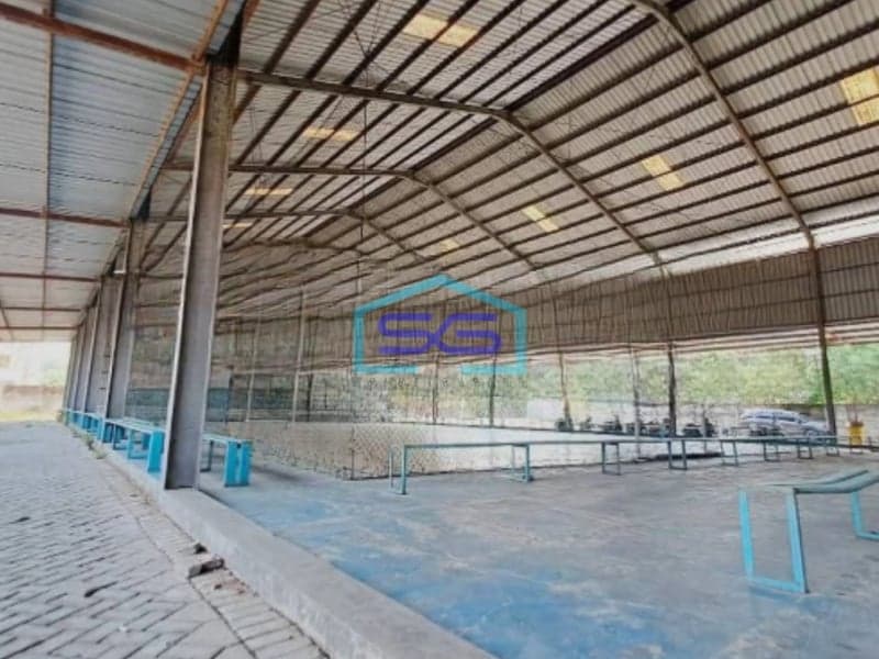 Dijual Tanah Luas  4991 m² Lokasi Bebas Banjir di Kapas Bojonegoro