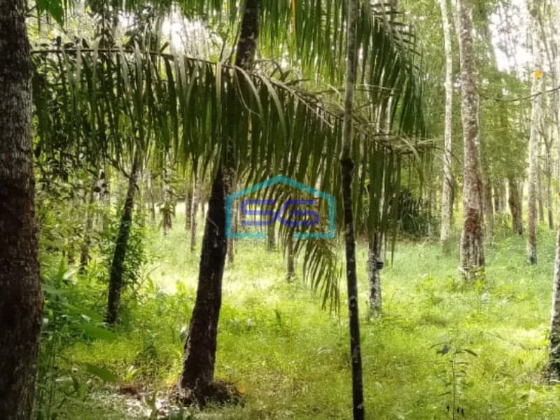 Dijual Tanah Plus 2 Unit Bangunan di Pulau Harapan Km 28 Jalan Palembang LT 17000m2