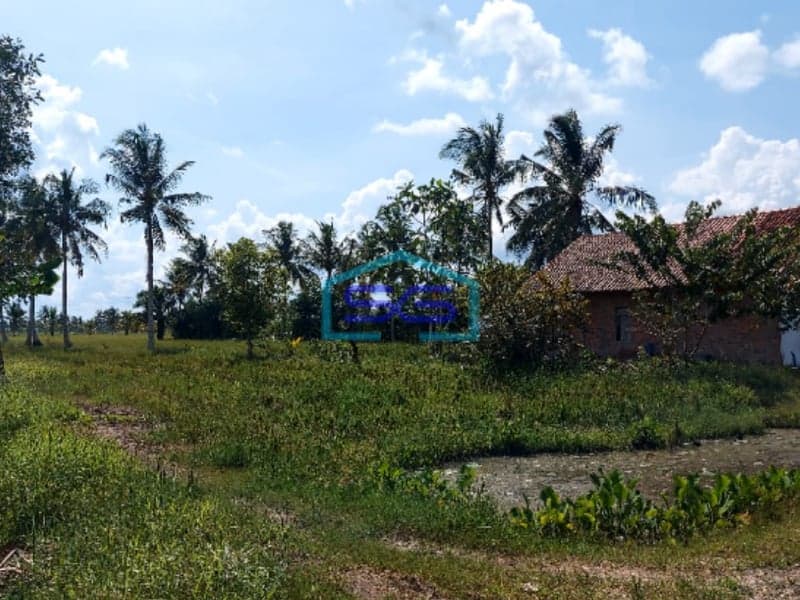 Dijual Tanah Bonus Bangunan di Jalan Tanjung Lago Kawasan KTM Telang Parit 17 Banyuasin Sumatera Selatan