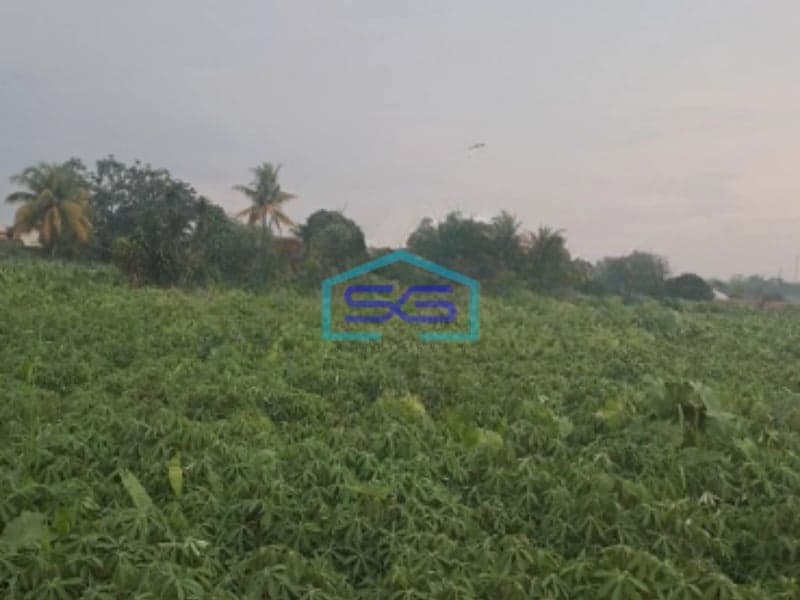 Dijual Tanah Di Jalan Salabenda Raya Kemang Bogor Luas Tanah 40000m2