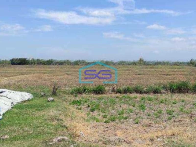 Dijual Gudang Luas Bangunan 800 m² Lokasi Tuban Jawa Timur