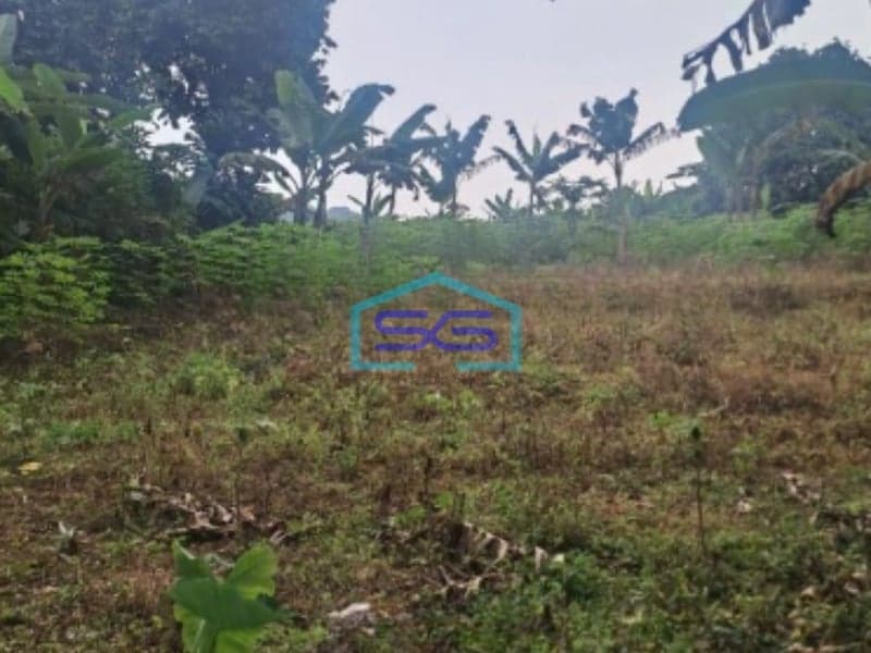 Dijual Tanah di Desa Ciambar Sukabumi Luas Tanah 5000m2
