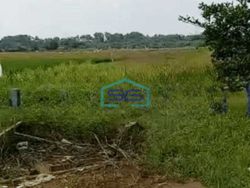 Dijual Tanah Kavling Industri Telukjambe Barat Karawang LT 33814m2 Bisa Untuk Pabrik Gudang