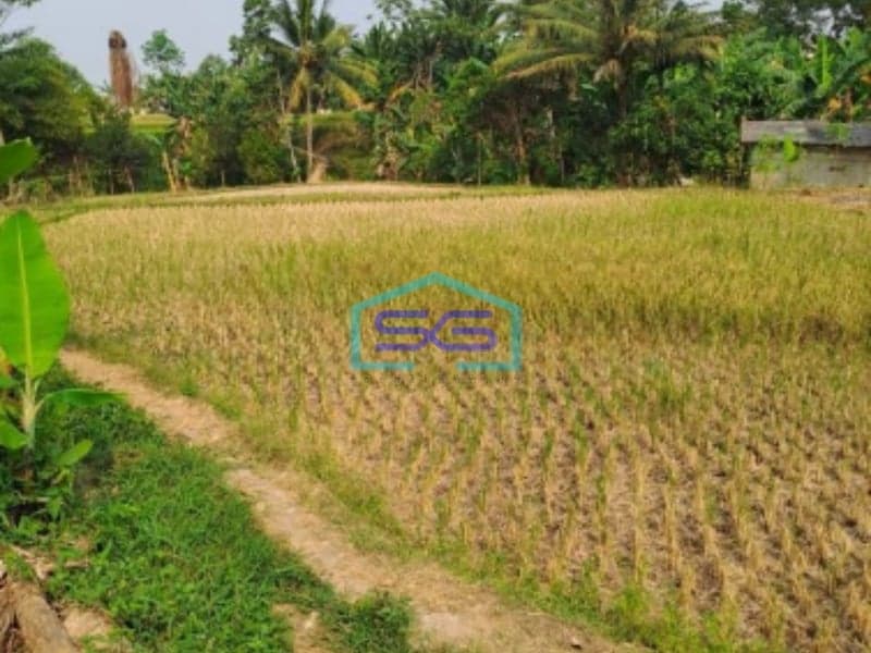 Dijual Tanah Sangat Bagus Luas 11000m2 Desa Rabak Rumpin Bogor