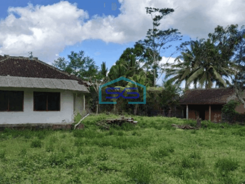 Disewa Tanah di jalan Nasional dan jalur wisata ubud Bali cocok Berbagai bisnis