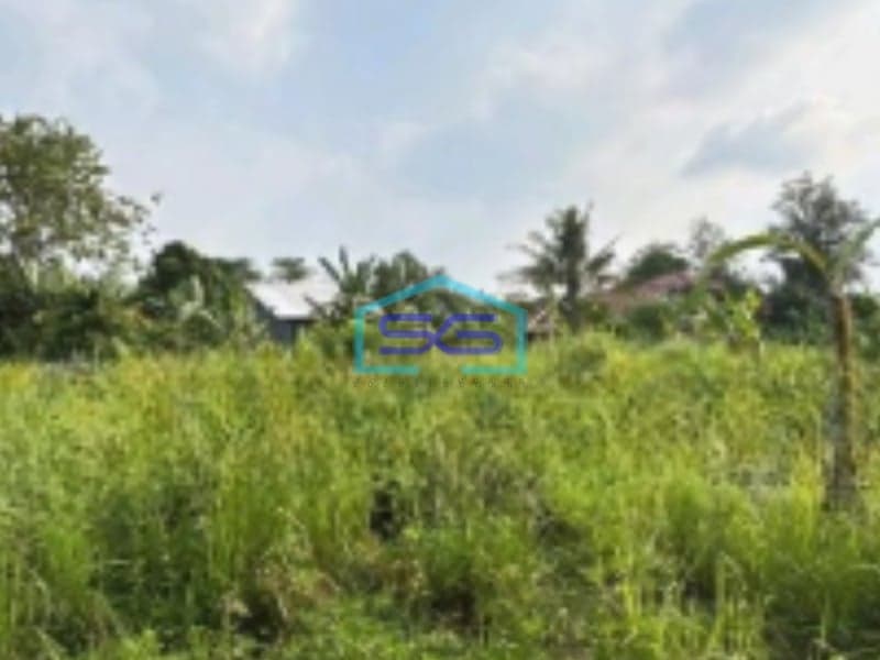 Dijual Tanah Kavling Di Balaraja Pasir Muncang Kabupaten Tangerang LT 5000m2