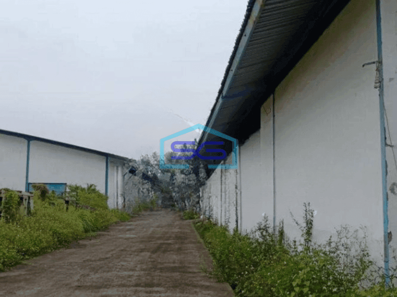 Disewakan Gudang 1 Lantai di Tambakaji , Semarang LT 12000m2