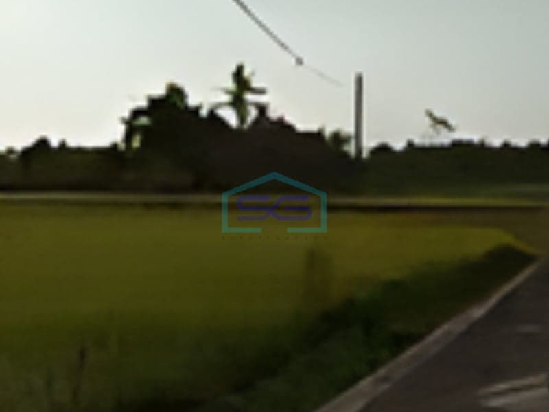 Disewakan Tanah View Keren di Beraban Tabanan Bali Luas Tanah 1600m2