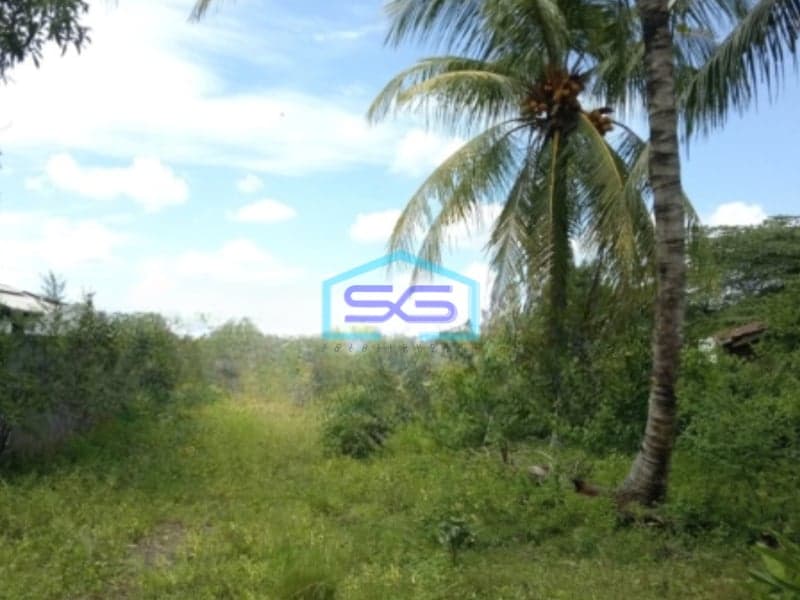 Dijual Tanah Luas 20000 m² Lokasi di Natar Lampung Selatan