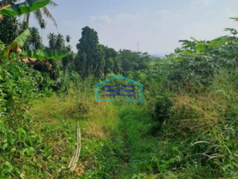 Dijual Tanah Di Rumpin Bogor Jawa Barat Luas 1400m2