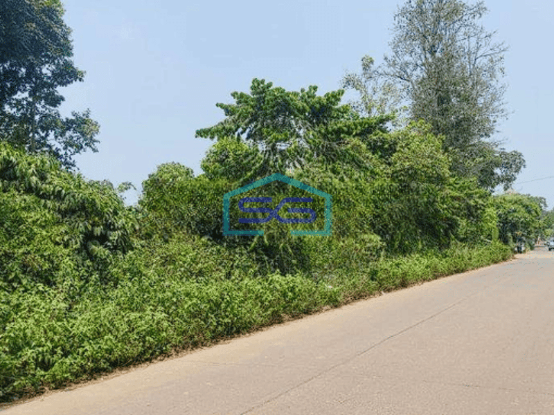 Dijual Tanah 2 Ha di Dang Dang Cisauk Tangerang