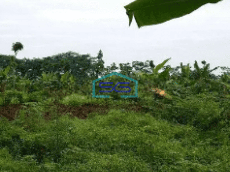 Dijual Tanah Kosong  di Semarang LT 50000m2