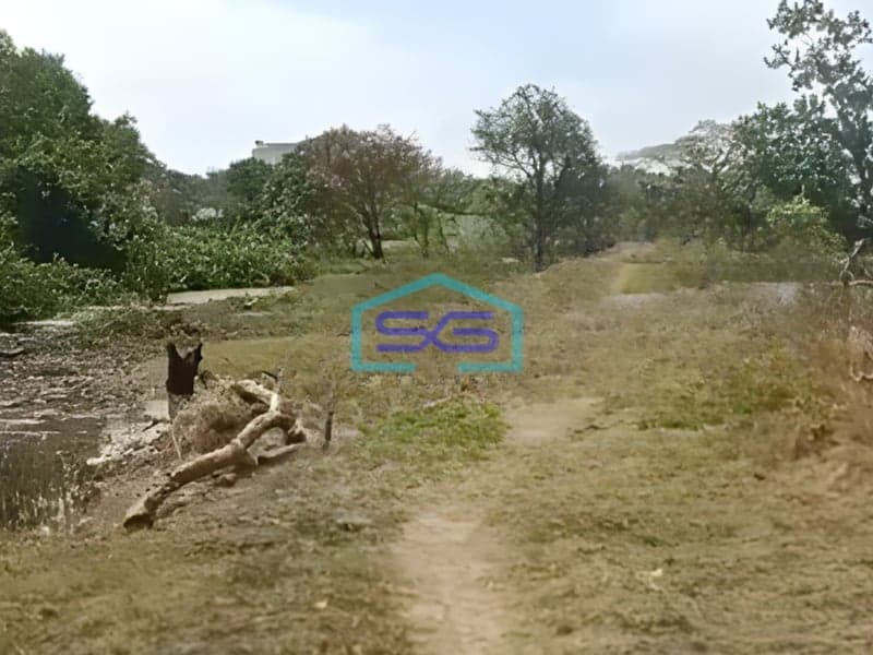 Dijual Tanah Luas 53000m2 di Jl. Wonorejo Timur  Rungkut Surabaya Bebas Banjir