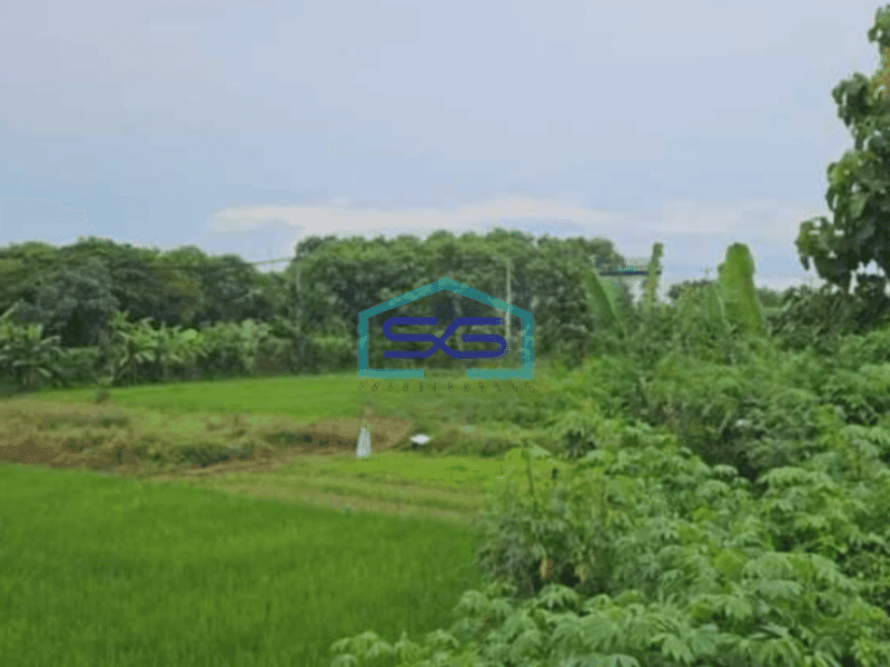 Dijual Gudang Jaten Karanganyar Luas Tanah 10000m2