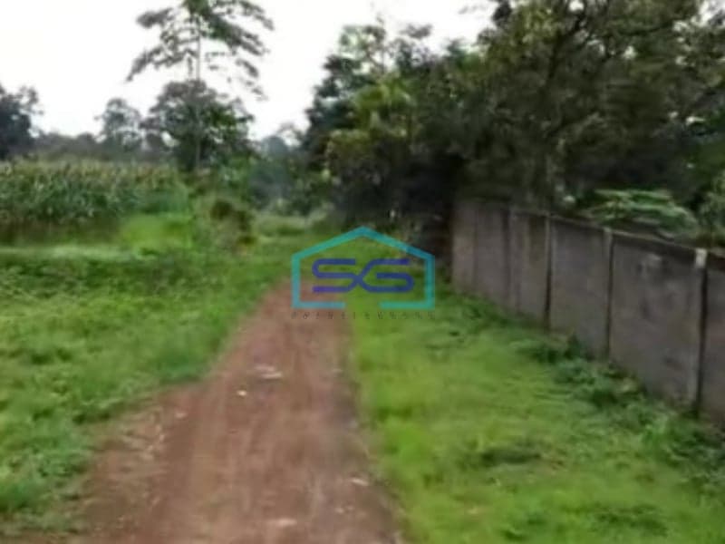 Dijual Tanah Uruk Daerah Gunting Sukorejo Pasuruan Jawa Timur LT 70 Hektar