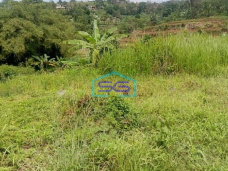 Dijual Tanah Jalan Terobosan Cipayung Puncak Megamendung Bogor LT 2500m2