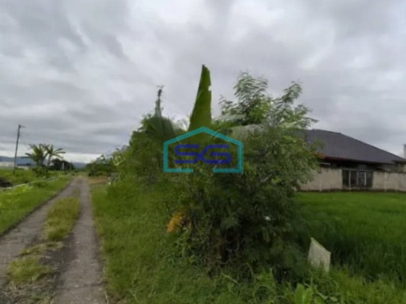 Dijual Tanah Luas 1225m2 SHM di Jamusan Prambanan Sleman Yogyakarta