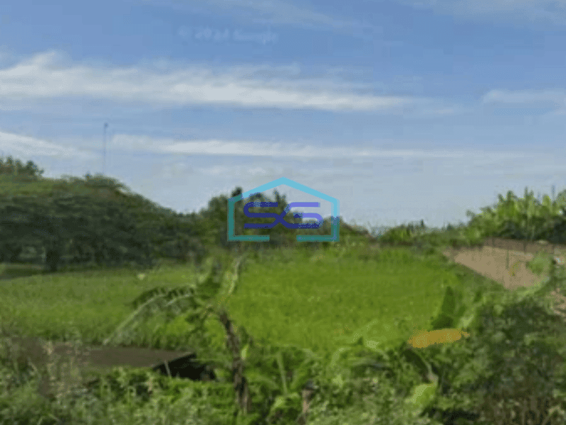 Dijual Tanah Lahan Strategis Industri Lokasi Masaran Sragen Luas 2 Ha