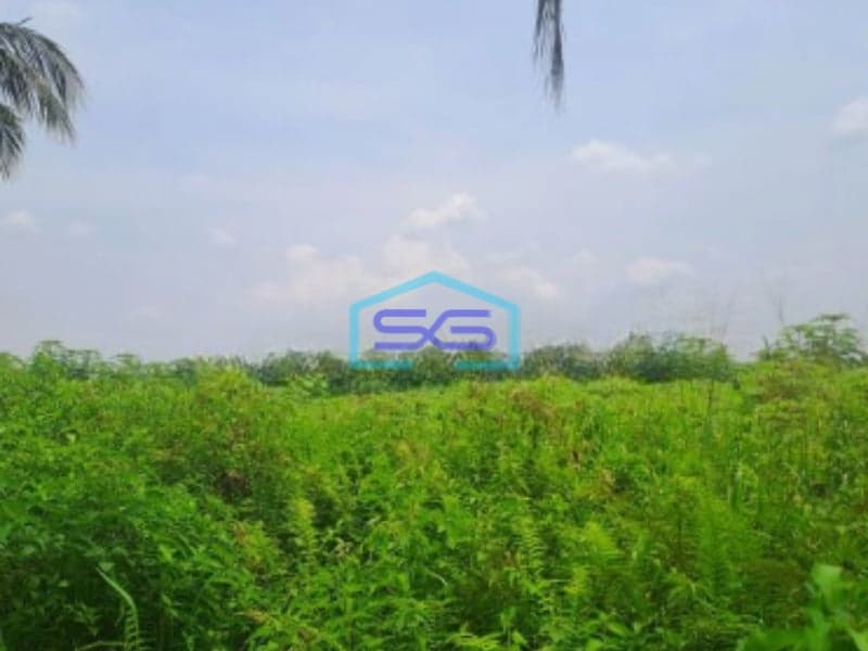 Dijual Tanah Lokasi di Pamijahan Bogor Luas Tanah 77000m2