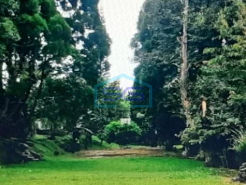 Vacant Land for Sale on Puncak Cisarua Road, Bogor Land Area 4930m2