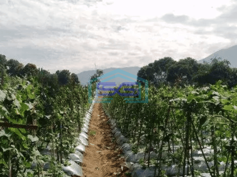 Dijual Lahan tanah 53 hektar di Belakang Trans TV Sukabumi, Sukaraja