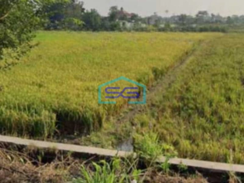 Dijual Tanah Zona Industri Lokasi Delanggu Klaten Jawa Tengah Luas 50000m2