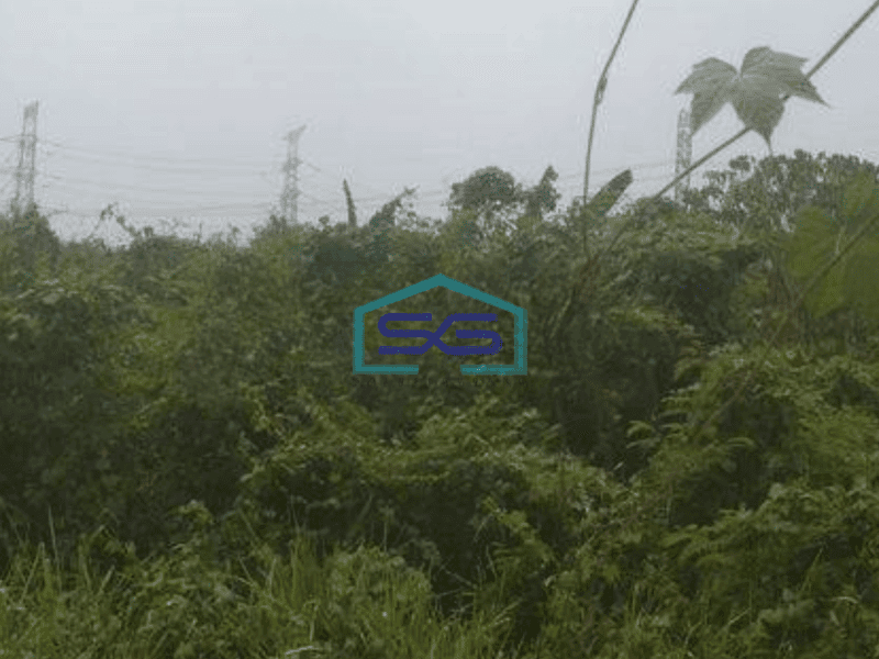 Dijual Tanah Luas  10000 m² di Petir Tangerang