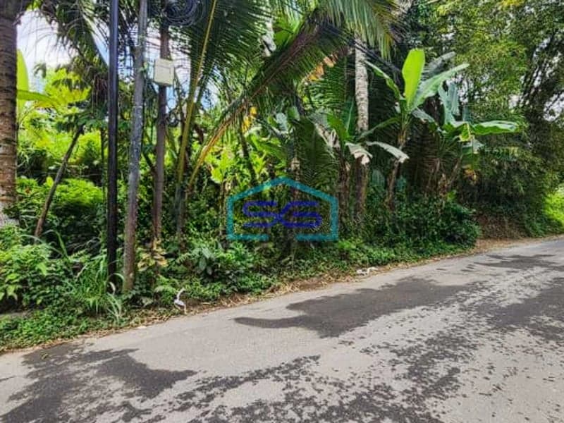 Dijual Tanah Dekat Como Shambhala Ubud Bali Luas Tanah 8900m2