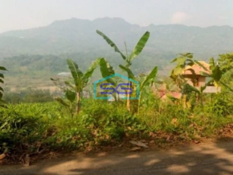 Dijual Tanah di Desa Cibadak Tanjung Sari Bogor Timur LT 10 Hektar