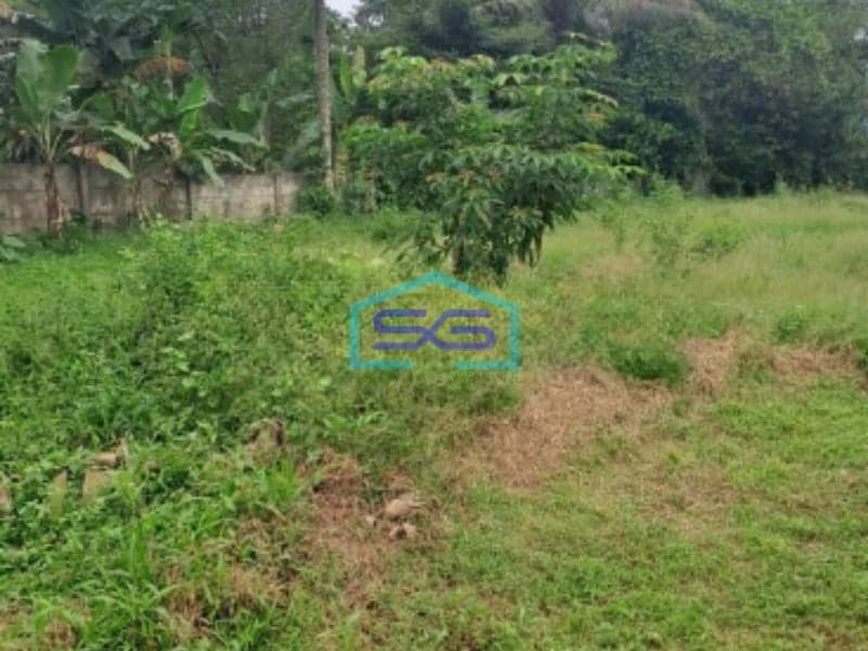 Dijual Tanah Jalan Parung Panjang Rumpin Bogor Luas Tanah 15000m2