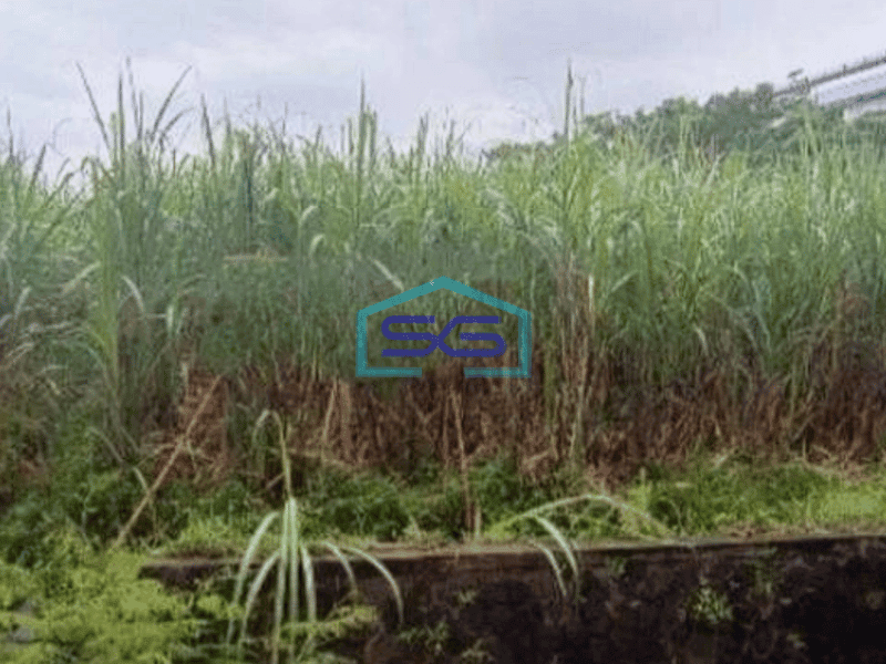 Dijual Tanah Luas Di Tengah Kota Kediri Jawa Timur LT 20000m2