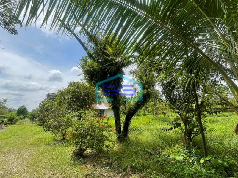 Dijual Cepat Tanah Strategis Siap Pakai di Jalan Mayor Zen Pusri Palembang LT 14521m2