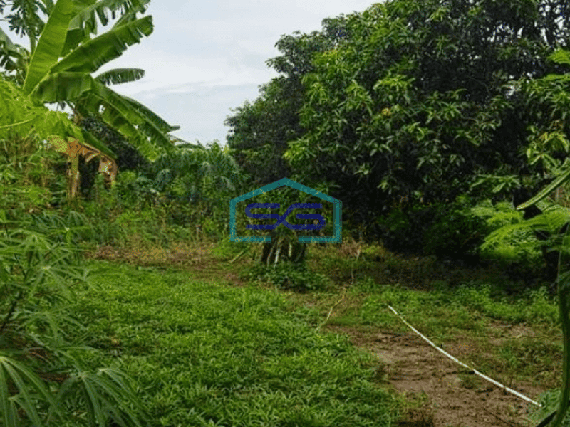 Dijual Tanah Komersil Gatot Subroto Denpasar Bali Luas 2440m2