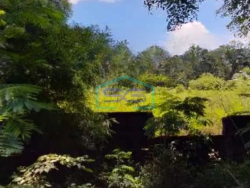 出售：南丹格朗 10000 平方米宽敞无淹水土地