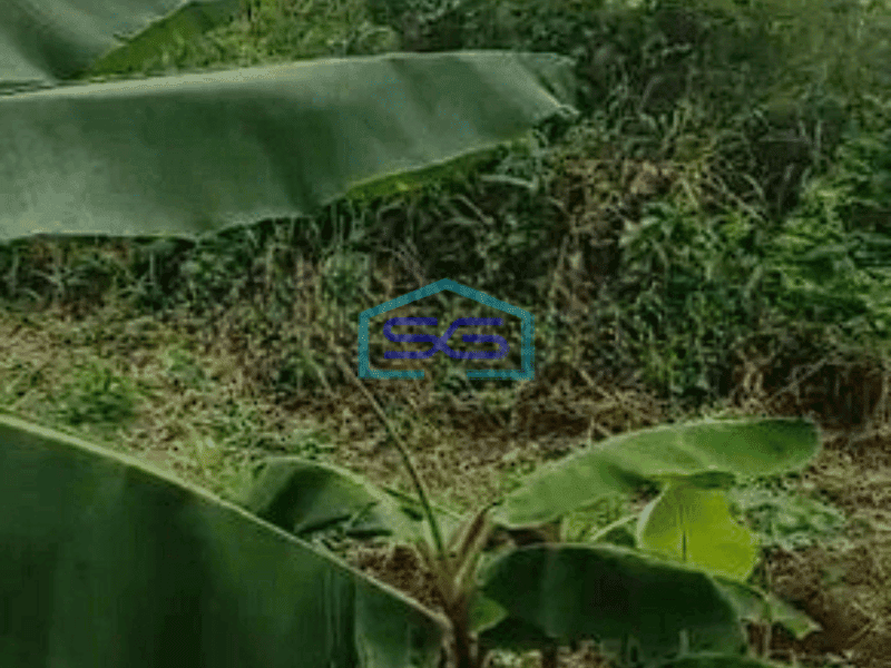 Dijual Cepat Tanah Lahan Industri Luas 2,5 Ha Di Pasar Kemis Tangerang