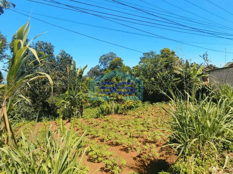 Dijual Tanah Lokasi Di Pinggir Jalan Ciambar Sukabumi