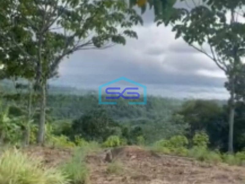 Dijual Tanah Desa Cibadak Sukamakmur Jongol Bogor SHM Luas 3500m2