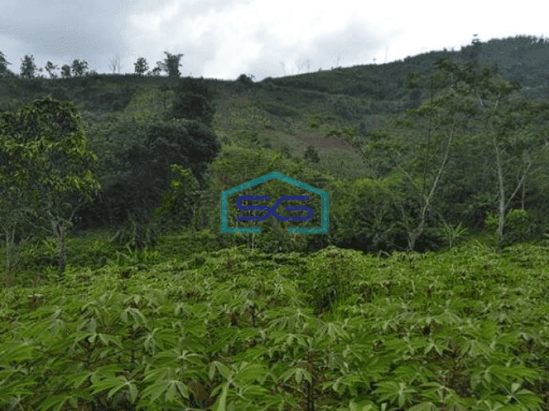 Dijual Tanah Super Murah di Pelabuhan Ratu Sukabumi Luas 100 Ha