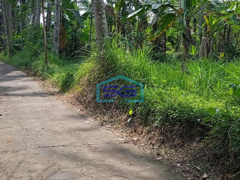 Dijual Tanah di Magelang Jawa Tengah Luas Tanah 3399m2