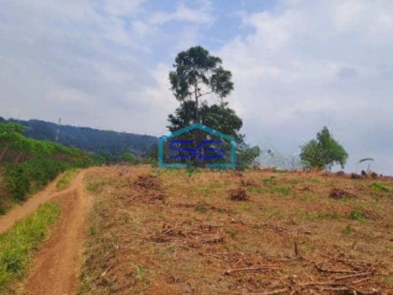 Dijual Tanah Di Sentul Citeureup Bogor Luas Tanah 105 Hektar