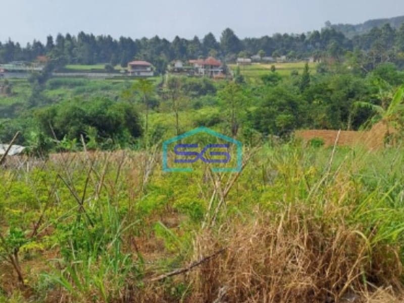 Dijual Tanah Siap Bangun Di Pancawati Caringin Bogor Luas Tanah 2000m2