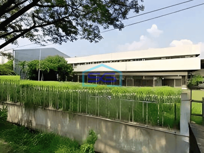 Disewakan Gudang Siap Pakai di Jalan Raya Mangkang, Semarang