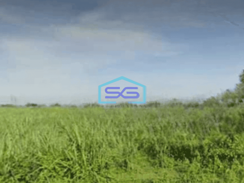 Dijual Tanah Luas 33000 m² Lokasi Bebas Banjir di Mojoagung Jombang Jawa Timur