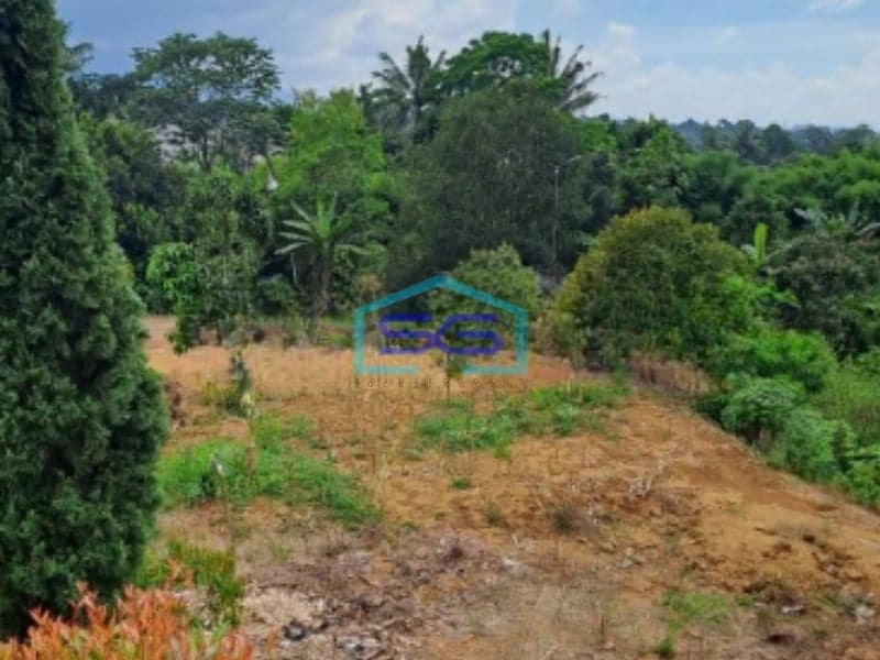 Dijual Tanah Ada Bangunan di Desa Cipayung Bogor Luas Tanah 5000m2